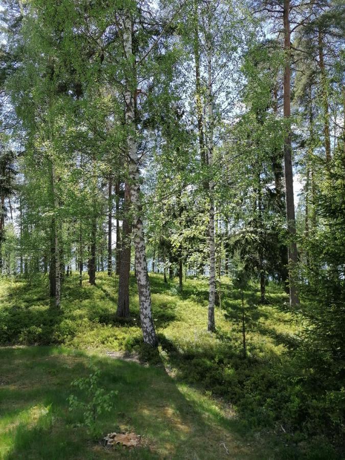 Bed and Breakfast Birgittagarden - Gaesthem - Birgittasystrarna à Falun Extérieur photo